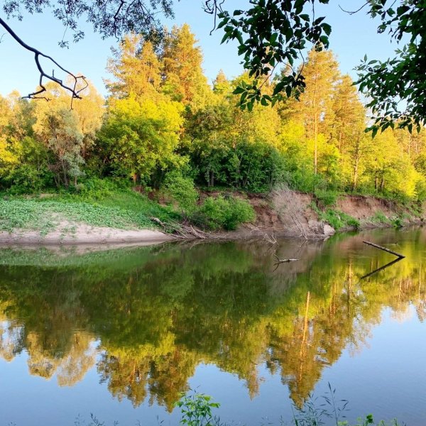 Природа Ульяновской области