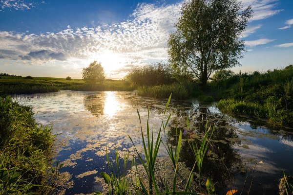 Пейзажи Ульяновска