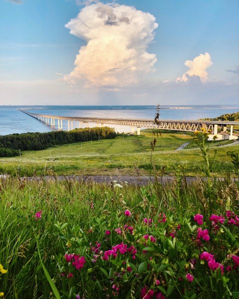 Волга Ульяновск природа