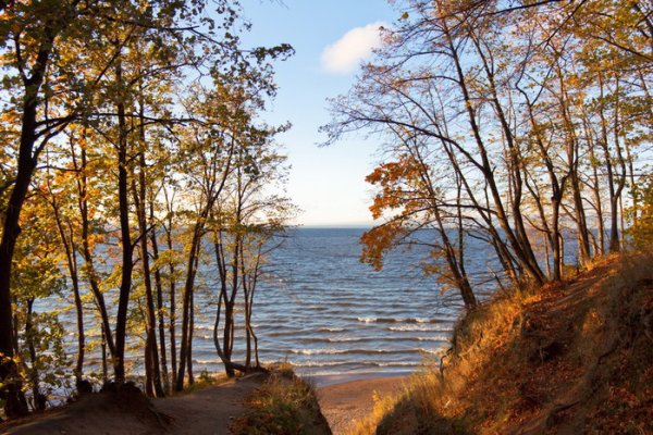 Золотая гора заповедник Ульяновская область
