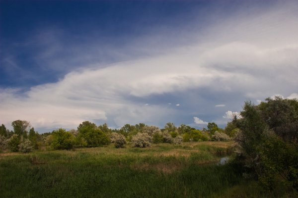 Река Свияга Ульяновская область