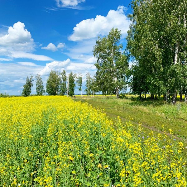 Ундоровские горы Ульяновской области