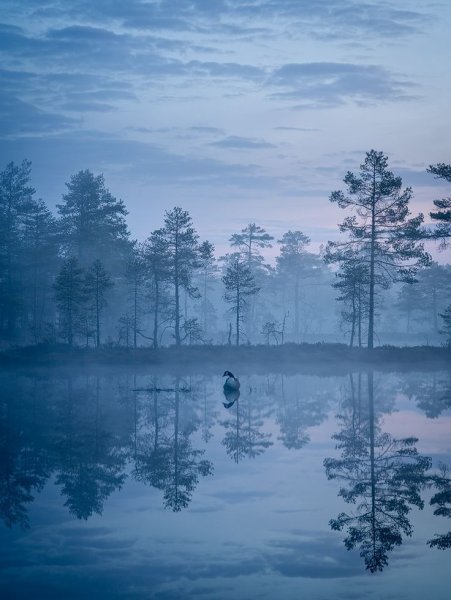Пейзаж в голубых тонах