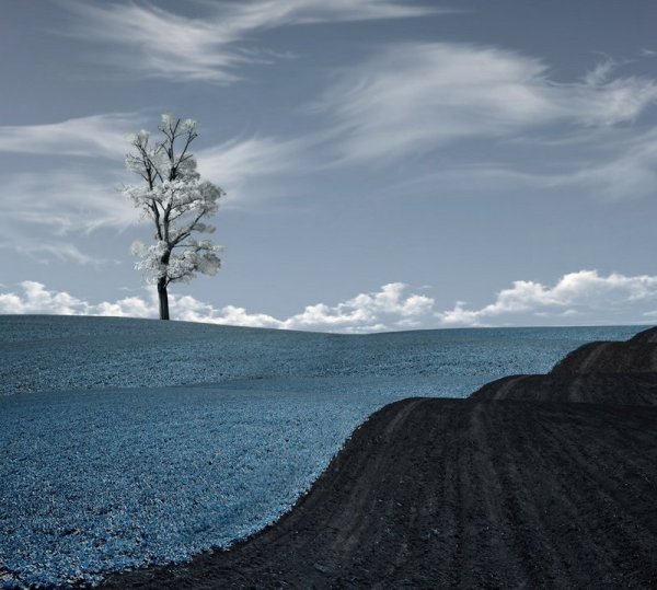 Природа в серо голубых тонах