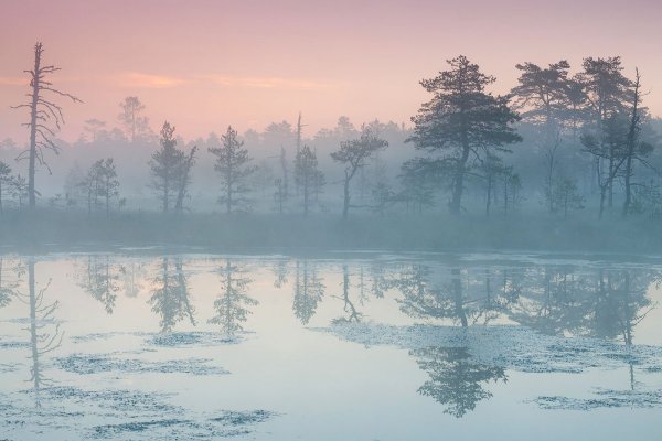 Зима в пастельных тонах