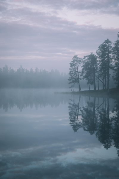 Серая природа