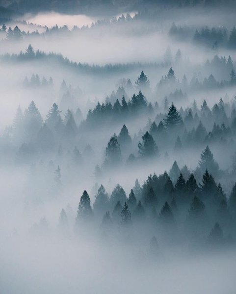 Горы в тумане