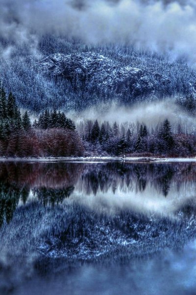 Природа туман