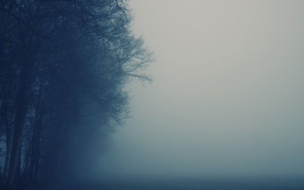 Красивый туман