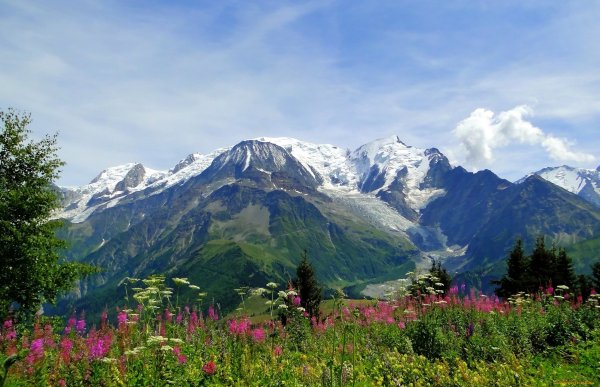 Альпийские Луга Альпы