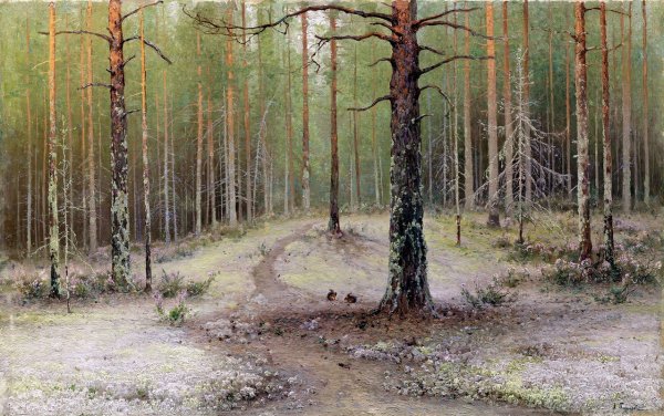 Художник Чекалин Алексей