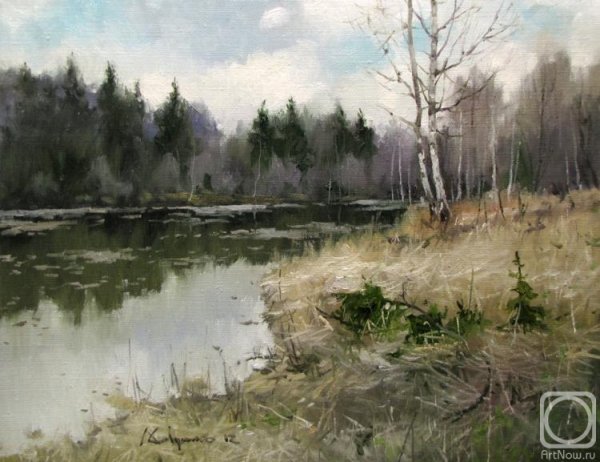 Художник Юрий Байкал