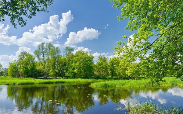 Природа река