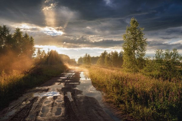 Проселочная дорога