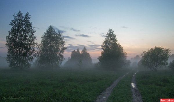 Пейзажи природы дождь
