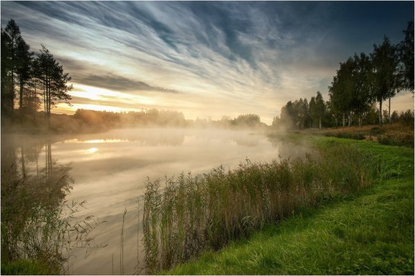 Картины маслом природа после дождя