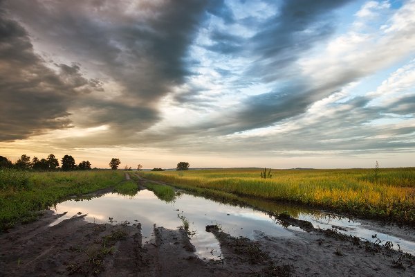 Пасмурный пейзаж