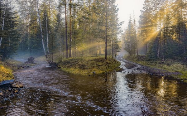 Пейзаж с лужей