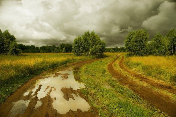 Картины художника Александр Воля деревня летом