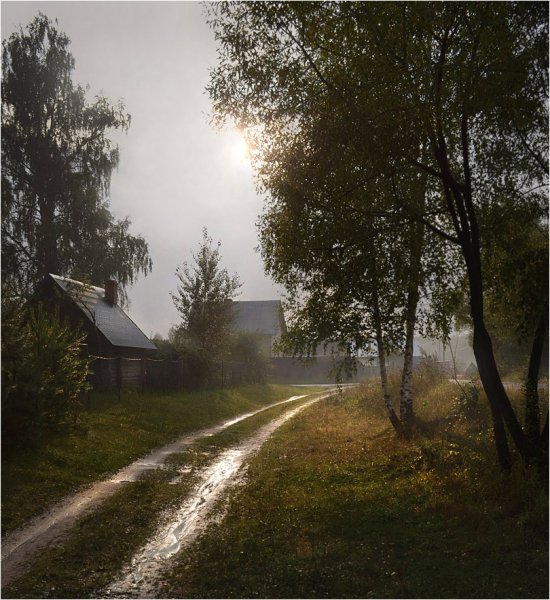 Юрий Мельков художник поле ромашек
