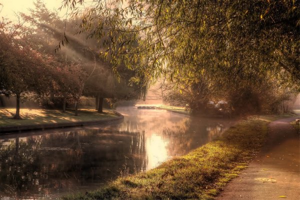 Перед грозой Брянск