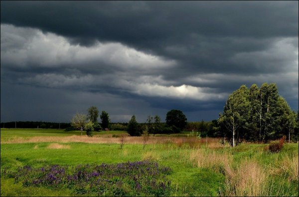 Природа после дождя