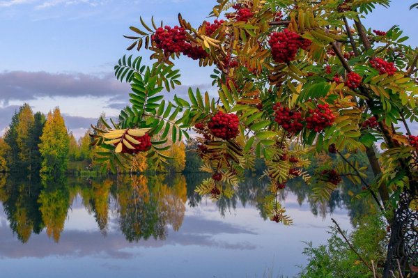 Художник Игорь Ропяник