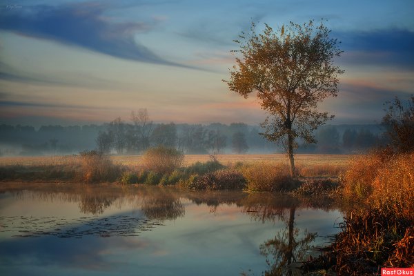 Осеннее утро