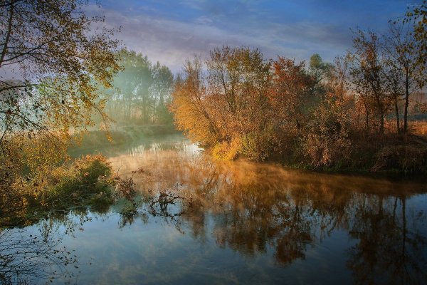 Осеннее утро