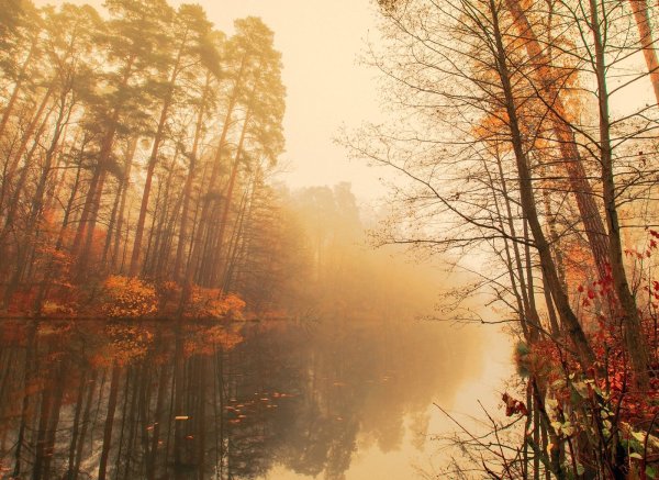 Рассвет поздняя осень