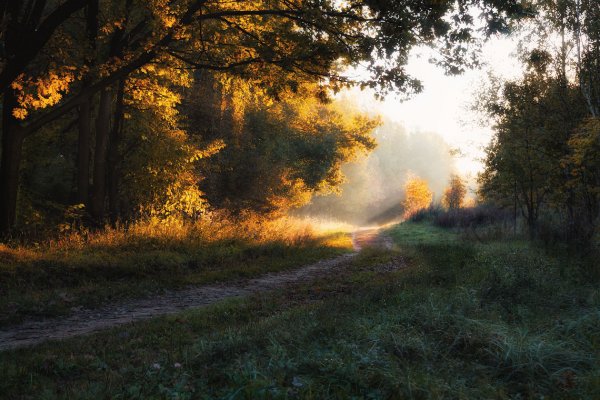 Раннее утро