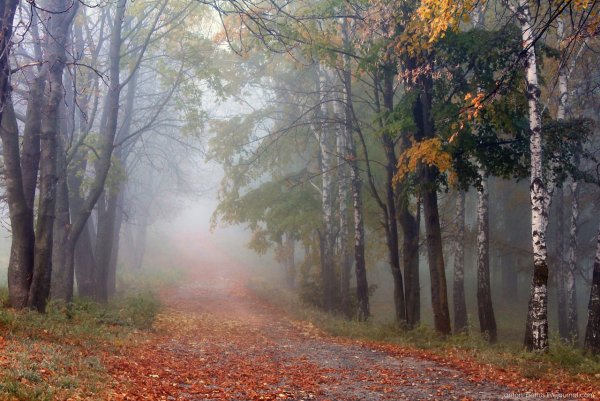 Ранняя осень