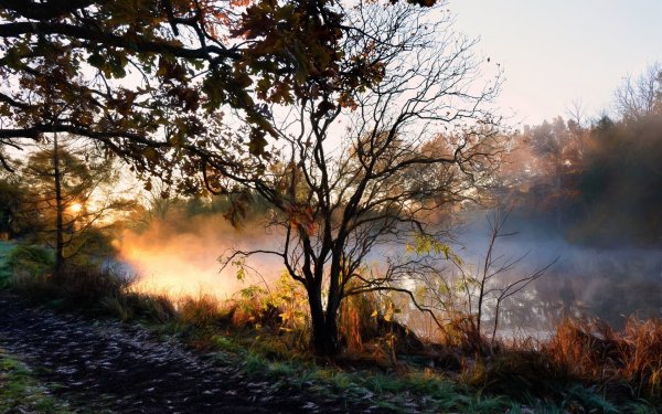 Туман осенью