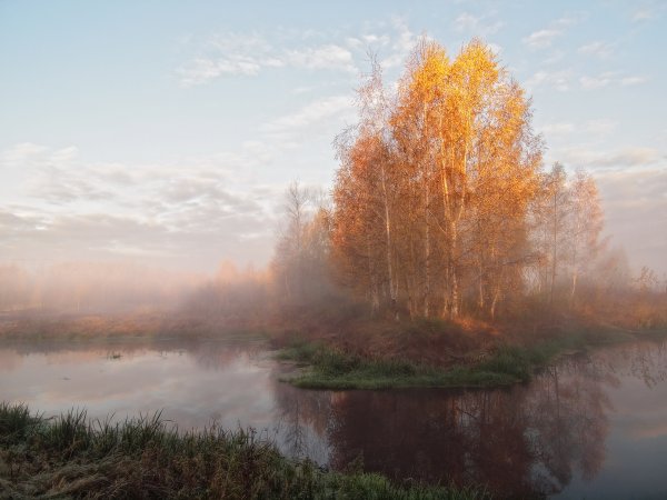 Утренний пейзаж осень