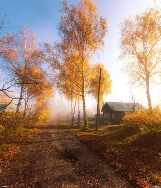 Солнечная осень в деревне