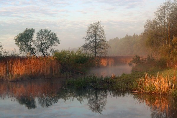 Живописные пейзажи фотографа Игоря Денисова