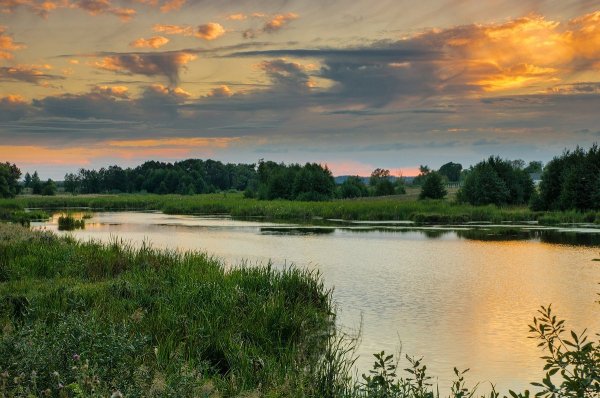 Среднерусская полоса России