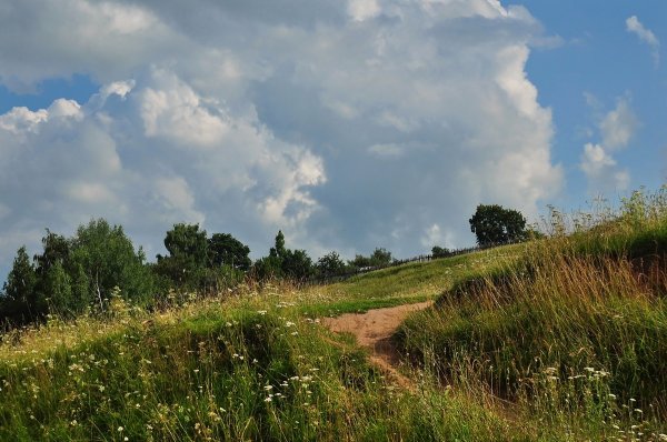 Река Сенокосная