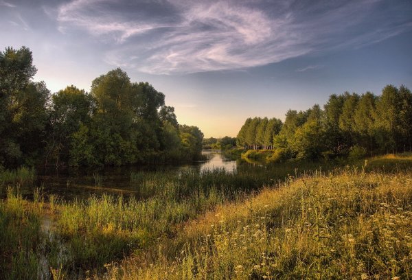 Просторы средней полосы России