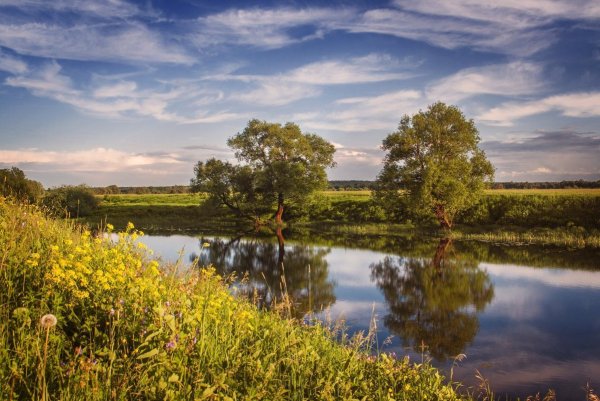 Пейзажи средней полосы России