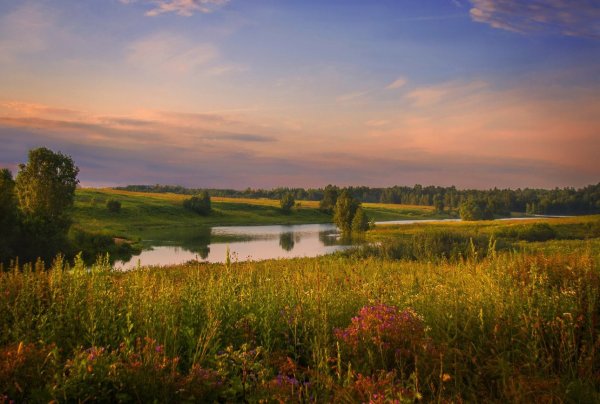 Пейзаж средней полосы
