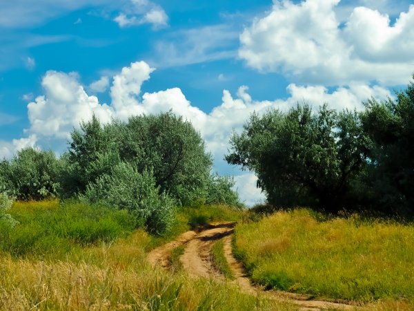 Пейзажи средней полосы России