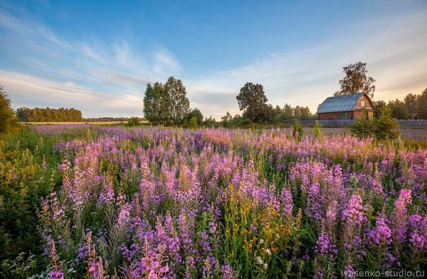 Русская природа средней полосы