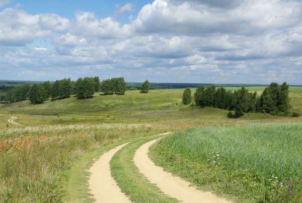 Красивые пейзажи средней полосы