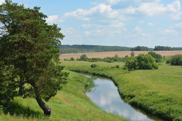 Природа России летом