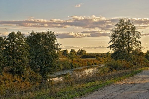 Растительность реки Судость