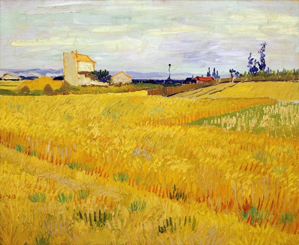 Винсент Ван Гог Wheat field