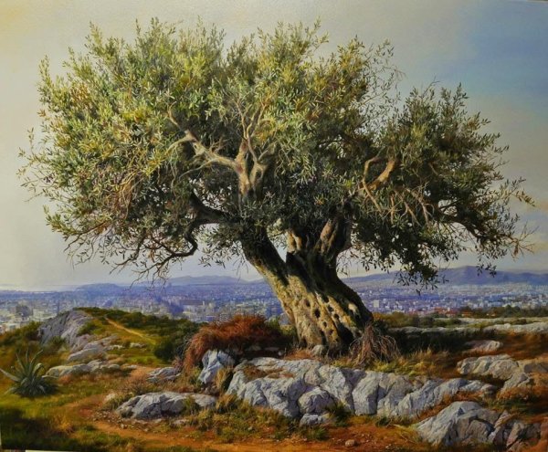 Матисс дерево оливы