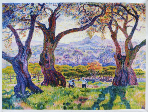 Оливковое дерево на стене