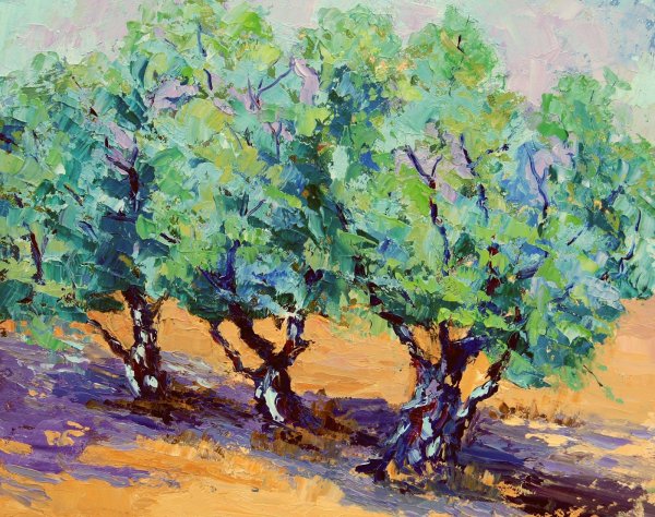 Греческий пейзаж с оливковыми деревьями